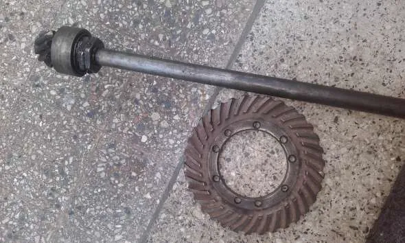 Piñon Y Corona Ford A