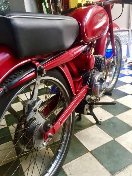 Guzzi  Cardellino