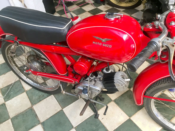 Guzzi  Cardellino