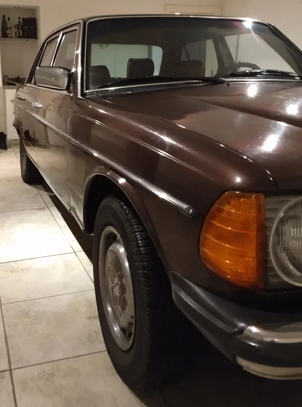 Mercedes Benz  230