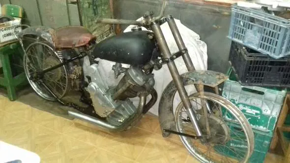Panther 100