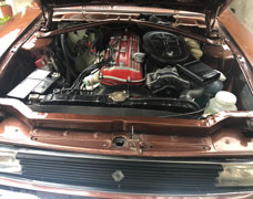 Renault Torino ZX