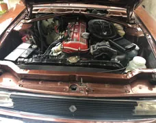 Renault Torino ZX
