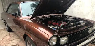 Renault Torino ZX