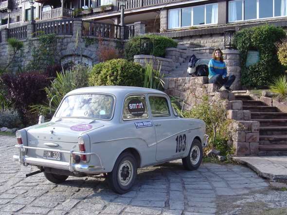 Isard 700