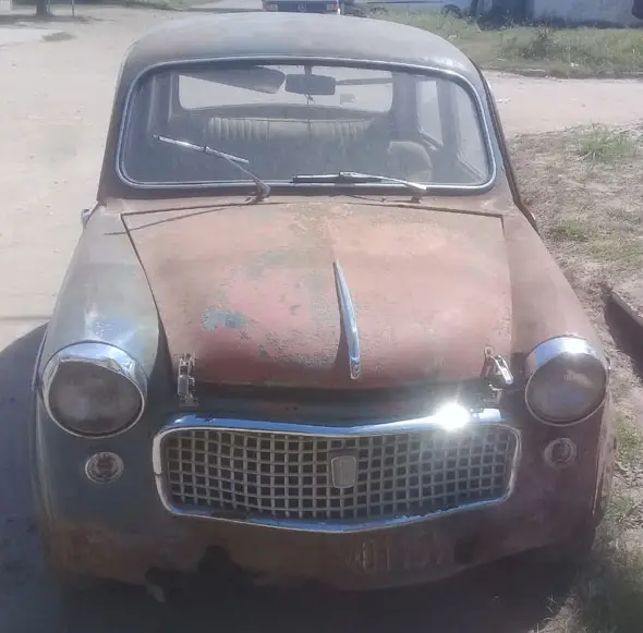 Fiat  1100 Standard