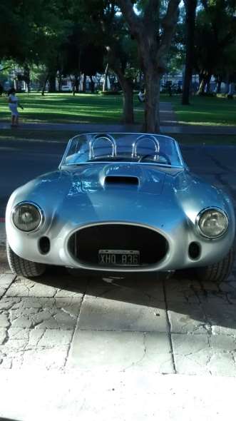Ford  Cobra