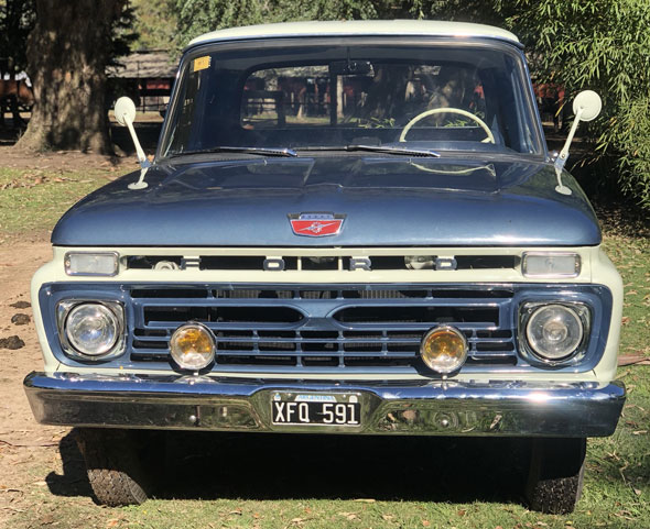 Ford F 100