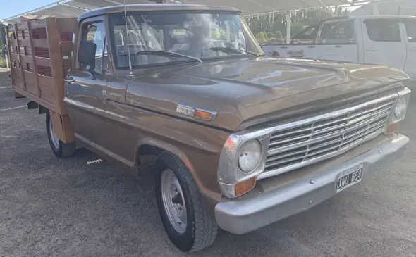 Ford F100