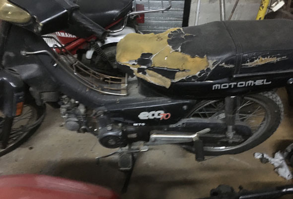 Motomel Eco 70