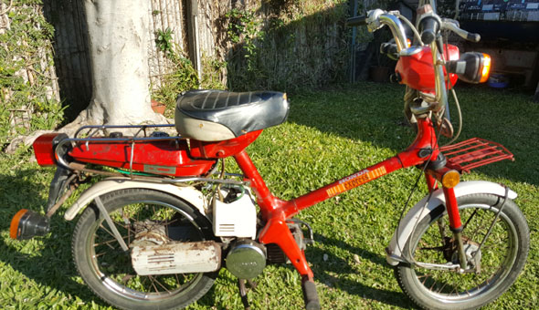 Honda Express 1981