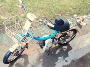Yamaha 50