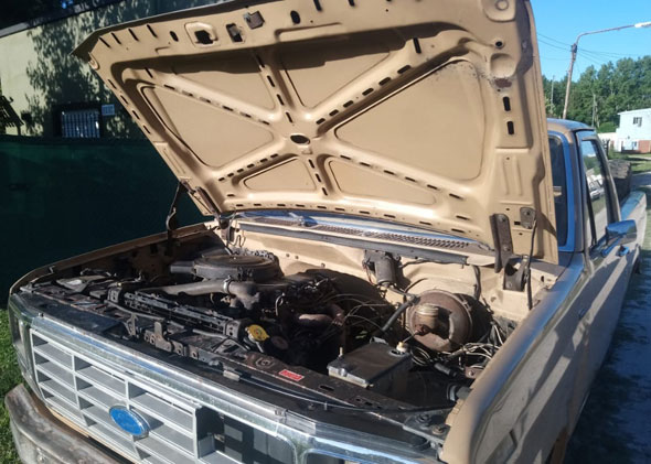 Ford F100