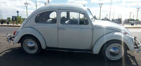 Volkswagen  Escarabajo 1951