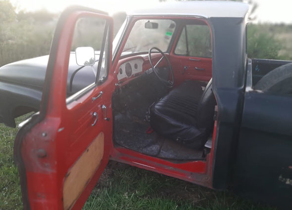 Ford  F100