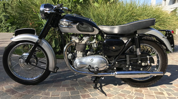 Triumph T100 1959