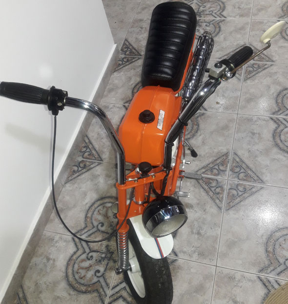 Pumita 1979