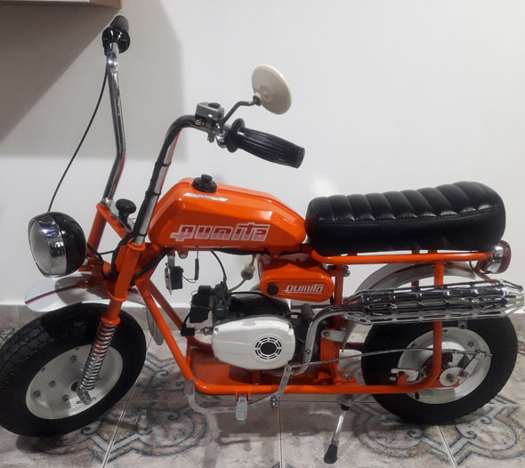 Pumita 1979