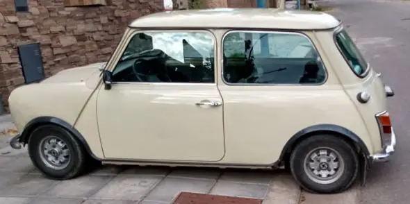Mini 1981