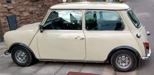 Mini 1981