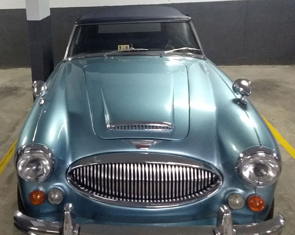 Austin Healey