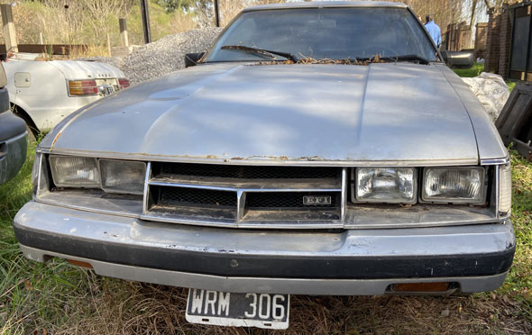 Toyota Supra Mk1 1981