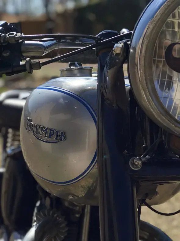 Triumph Tiger T100