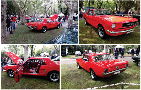 Ford  Mustang