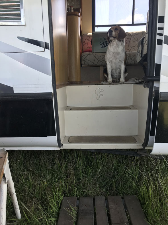 Motorhome Gibert Car