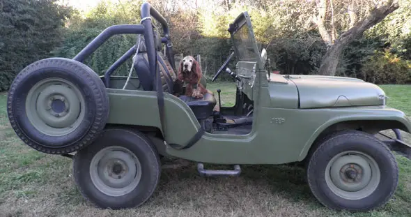 Jeep IKA 1956