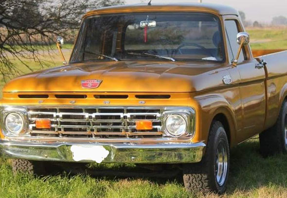 Ford F100