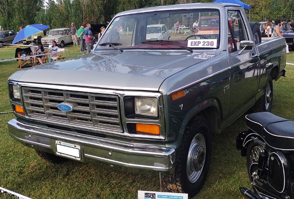 Ford F100 V8 Deluxe