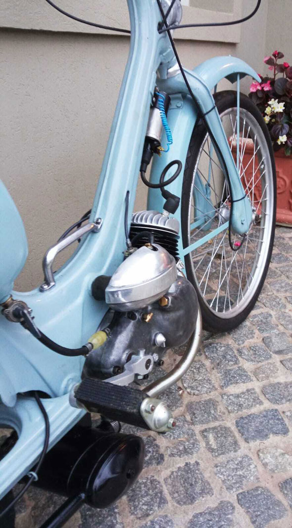 Siam 48 Innocenti