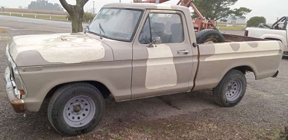 Ford F100