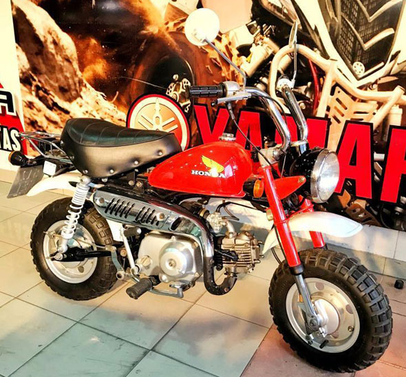 Honda Gorila - Foto 3