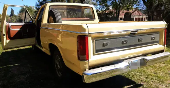 Ford F100 1981 Deluxe Original 221