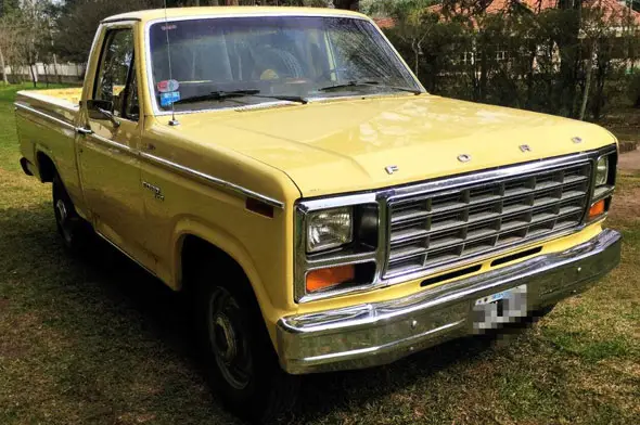 Ford F100 1981 Deluxe Original 221