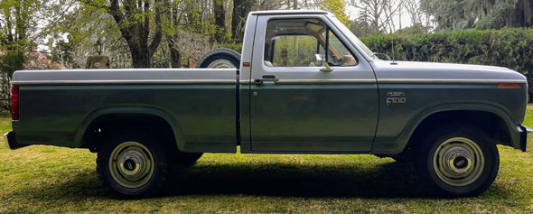 Ford F100 1984 Deluxe