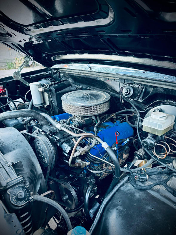 Ford  Bronco V8