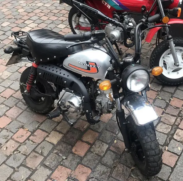 Mondial Monkey