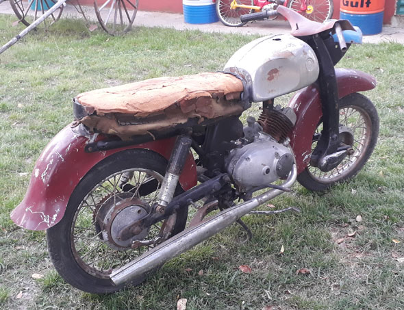 Pointer 175