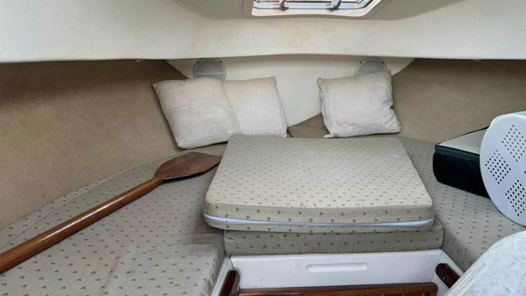 Americana Sea Rayder Cabinada Jhonsos 115 Hp 4 T - Foto 4