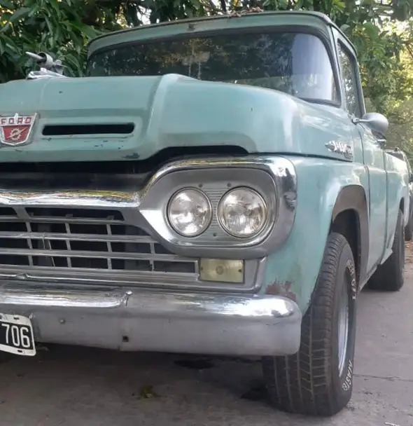 Ford F100 Loba 1960
