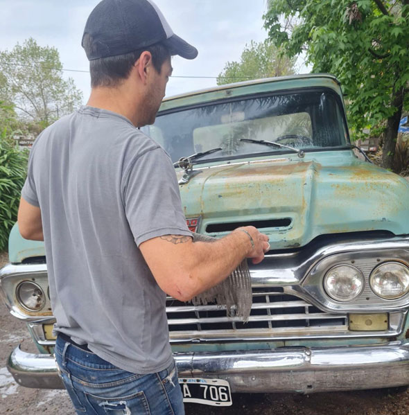 Ford F100 Loba 1960 - Foto 4