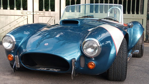 Cobra Shelby