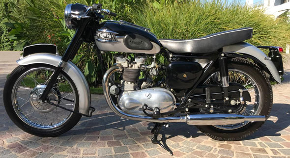 Triumph T100