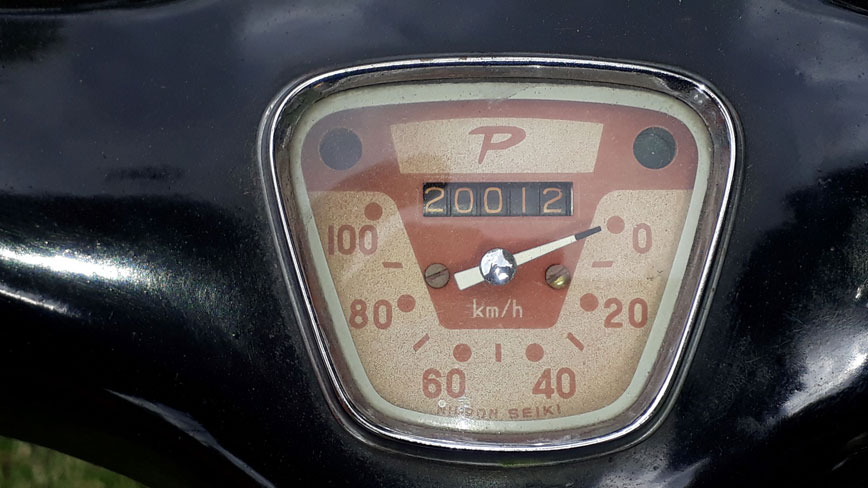 Pointer De Dama - Foto 3