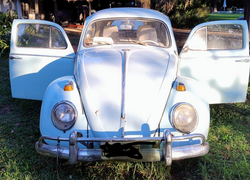 Volkswagen Escarabajo - Foto 2