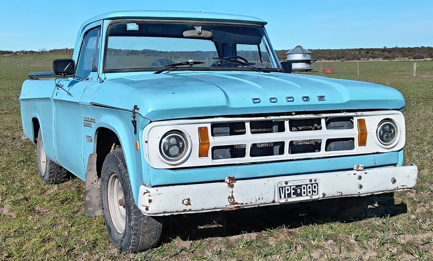 Dodge 100