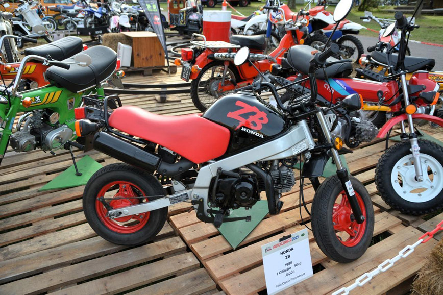 Honda ZB 50 - Foto 3